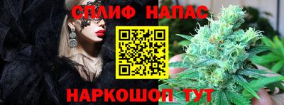 соль ск Кингисепп