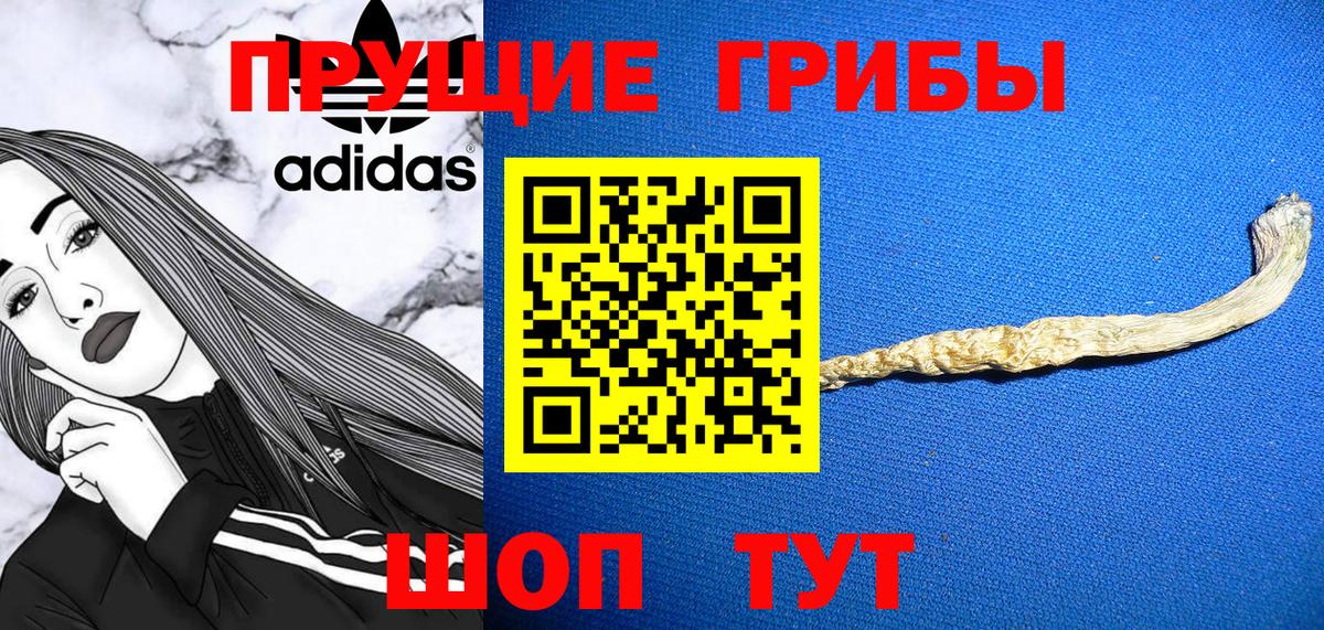 Псилоцибиновые грибы Magic Shrooms Богданович