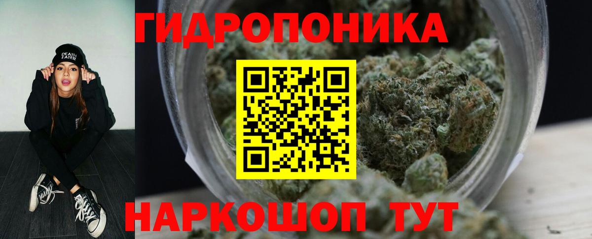 Канабис планчик Богданович